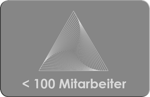 Business 100er JuDi Connect