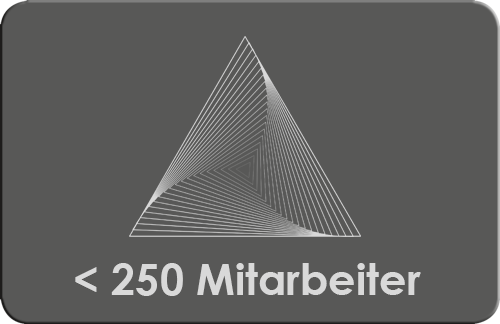 Business 250er JuDi Connect
